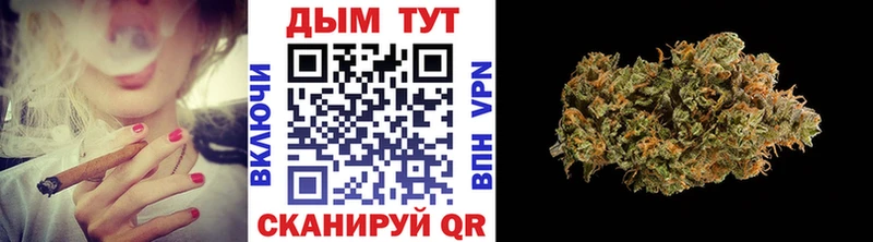 Купить наркотики сайты Урус-Мартан ГАШИШ  СК  Мефедрон  АМФЕТАМИН  Кокаин  МАРИХУАНА 