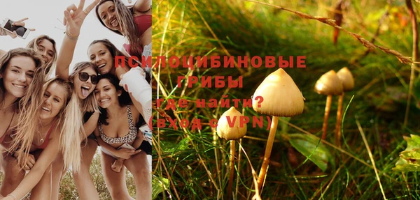 мяу мяу мука Арсеньев