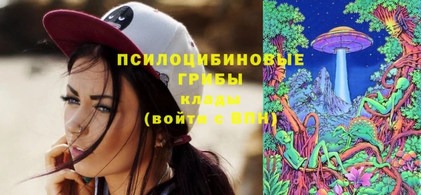 ГАЛЛЮЦИНОГЕННЫЕ ГРИБЫ Армянск