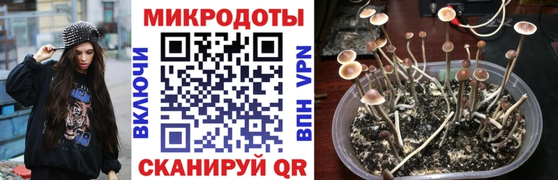 Галлюциногенные грибы ЛСД  где продают наркотики  Урус-Мартан 